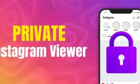 Best Private Instagram Viewer